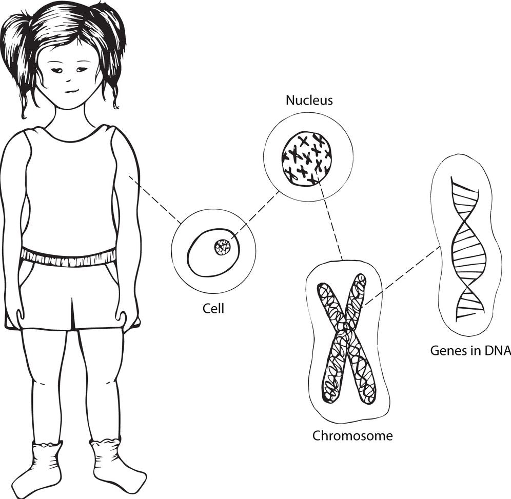 Childhood Leukemia: A Guide for Families, Friends & Caregivers