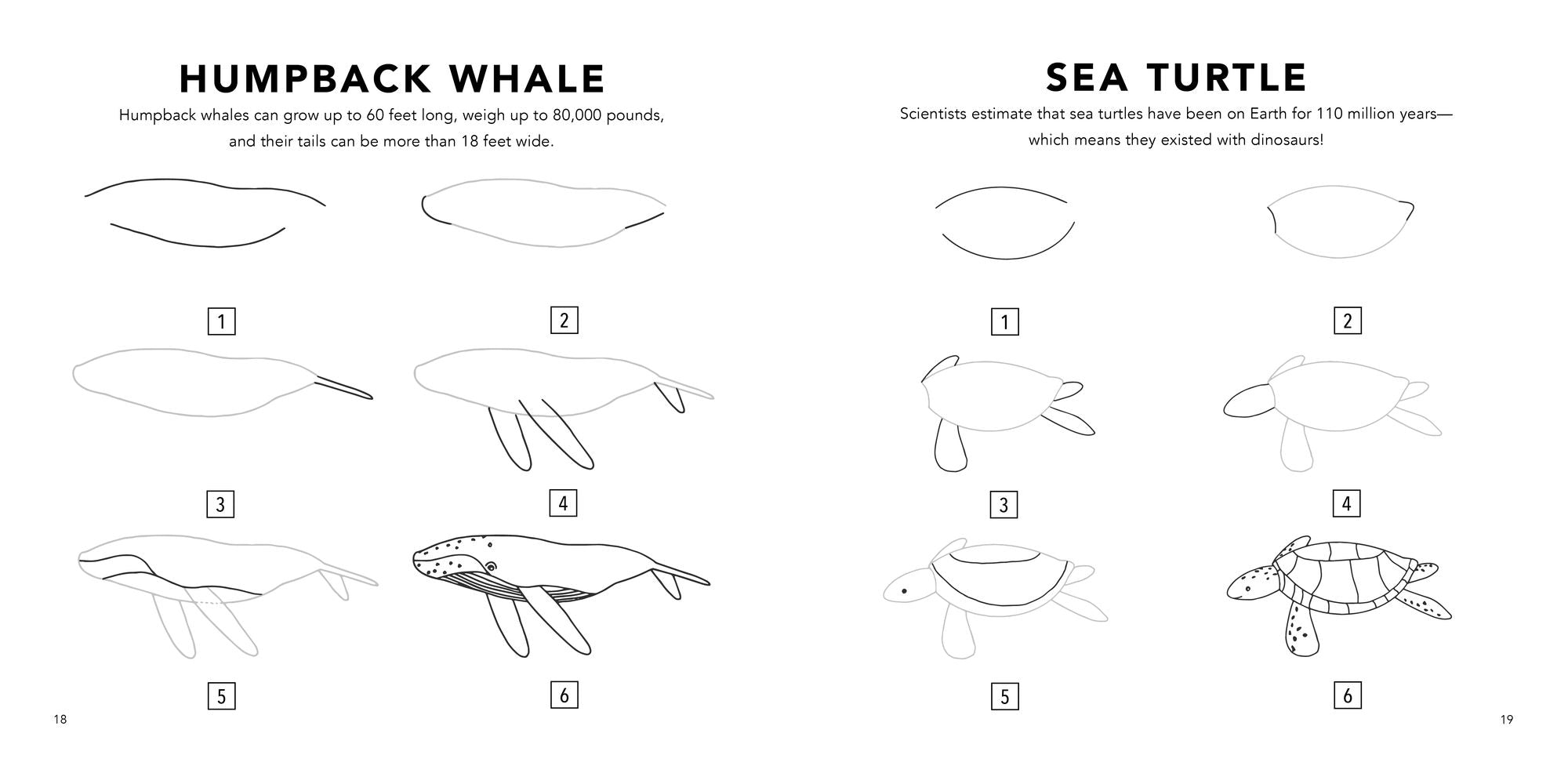 Under the Sea: How to Draw Books for Kids with Dolphins, Mermaids, and Ocean Animals