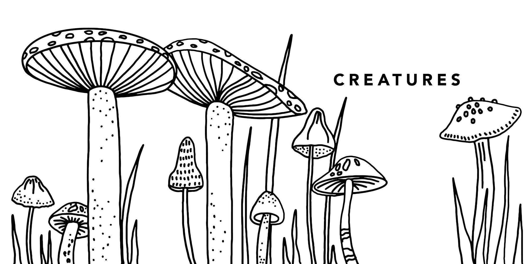 Magical Things: How to Draw Books for Kids with Unicorns, Dragons, Mermaids, and More