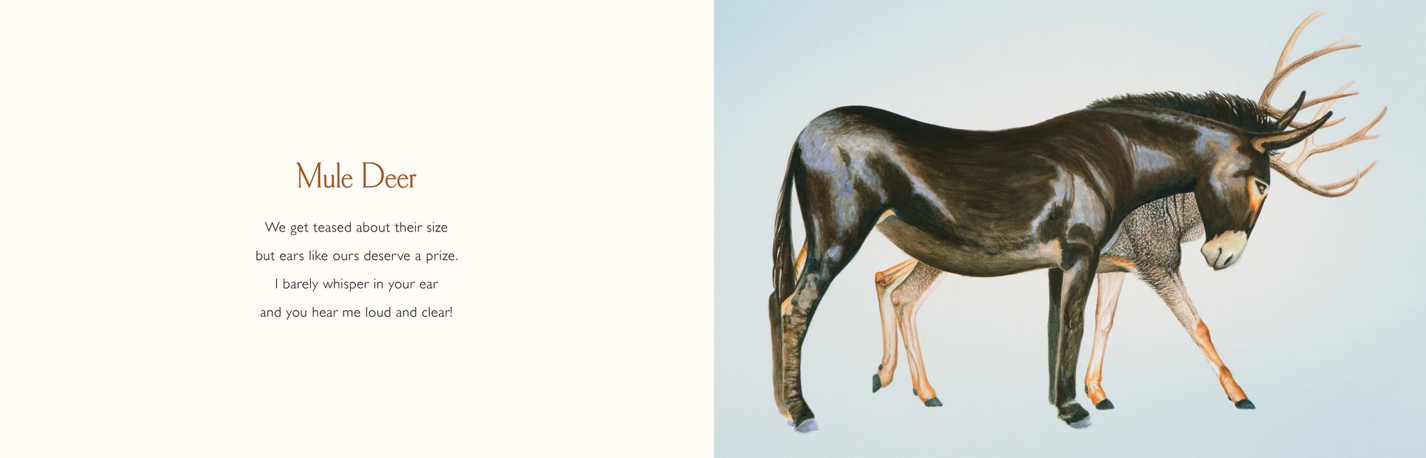 You Stole My Name: A Rhyming Book of Animals That Sound Alike
