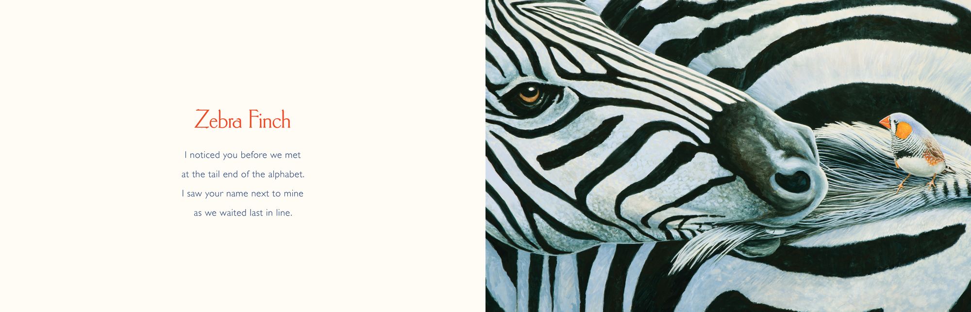 You Stole My Name: A Rhyming Book of Animals That Sound Alike