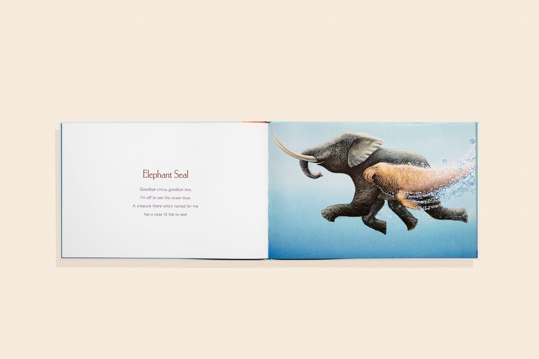 You Stole My Name: A Rhyming Book of Animals That Sound Alike