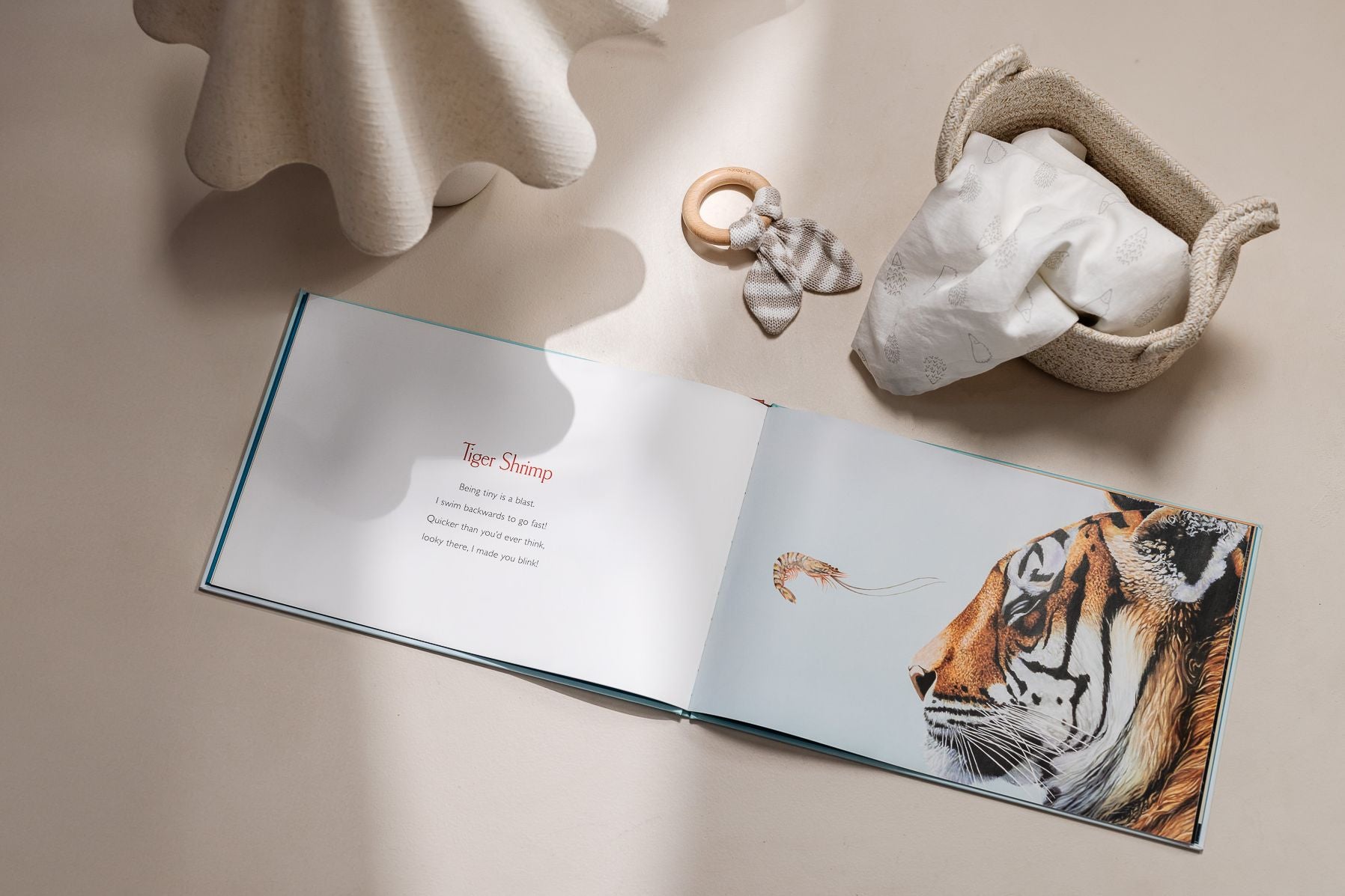 You Stole My Name: A Rhyming Book of Animals That Sound Alike