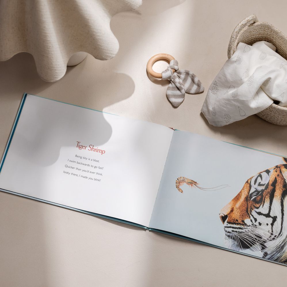 You Stole My Name: A Rhyming Book of Animals That Sound Alike