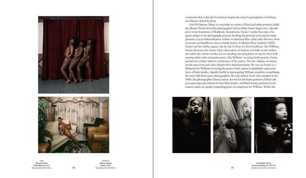 Young, Gifted and Black: A New Generation of Artists: The Lumpkin-Boccuzzi Family Collection of Contemporary Art