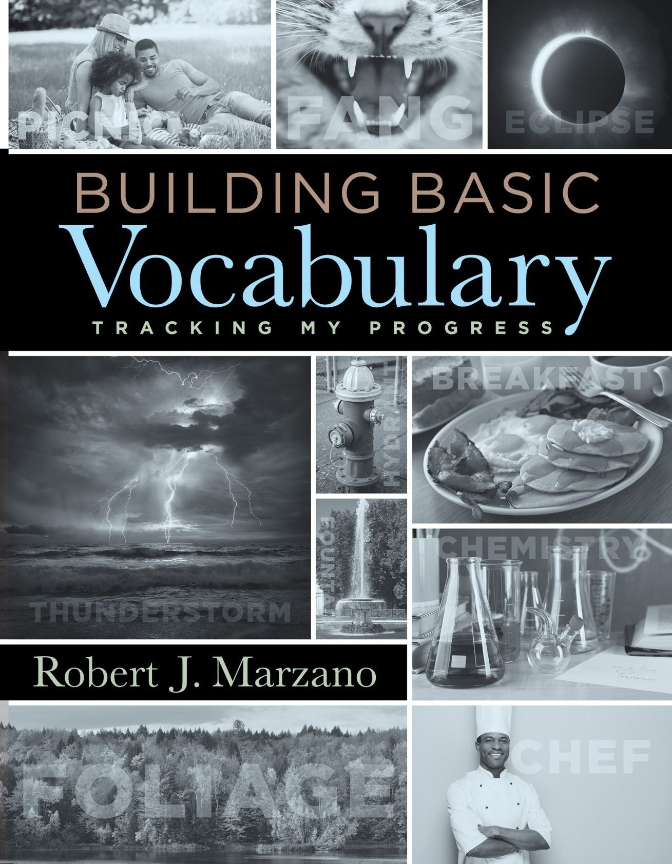 Building Basic Vocabulary: Tracking My Progress (A companion resource to help students learn new vocabulary words and build their literacy skills)