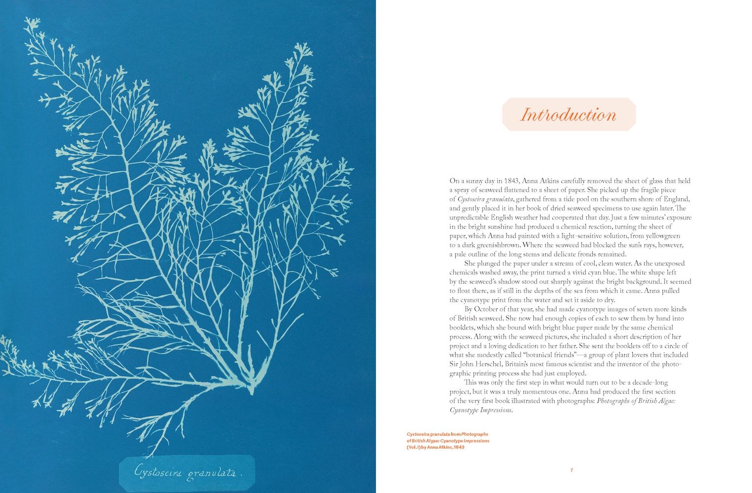Anna Atkins: Photographer, Naturalist, Innovator