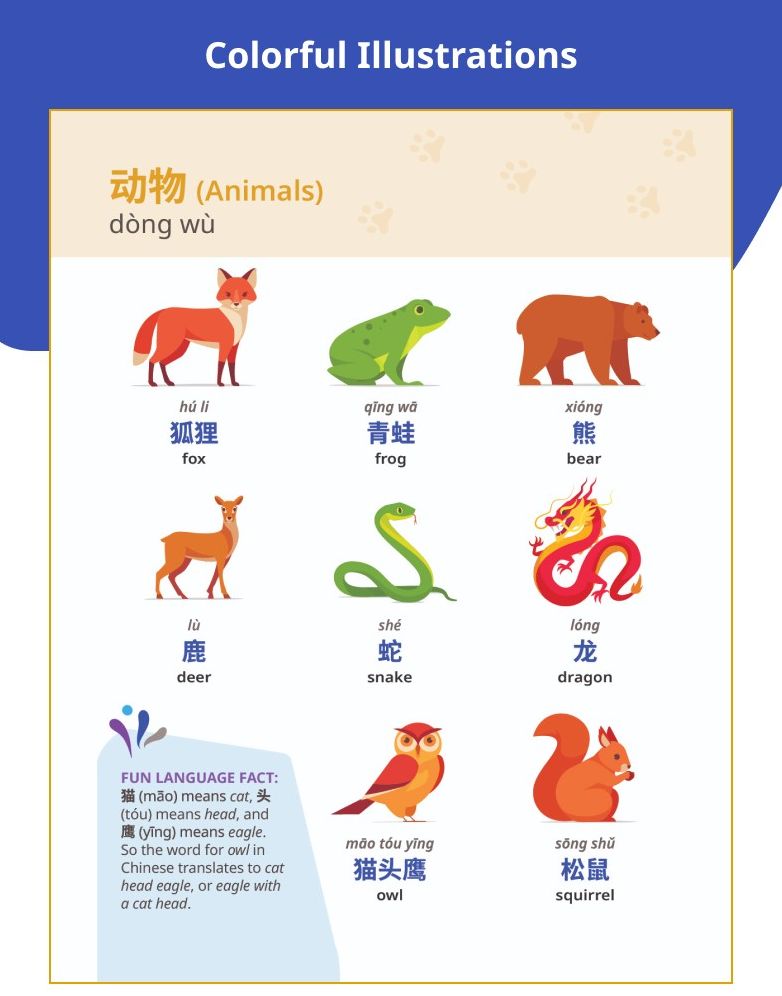 Rosetta Stone Mandarin Chinese Picture Dictionary (Simplified)