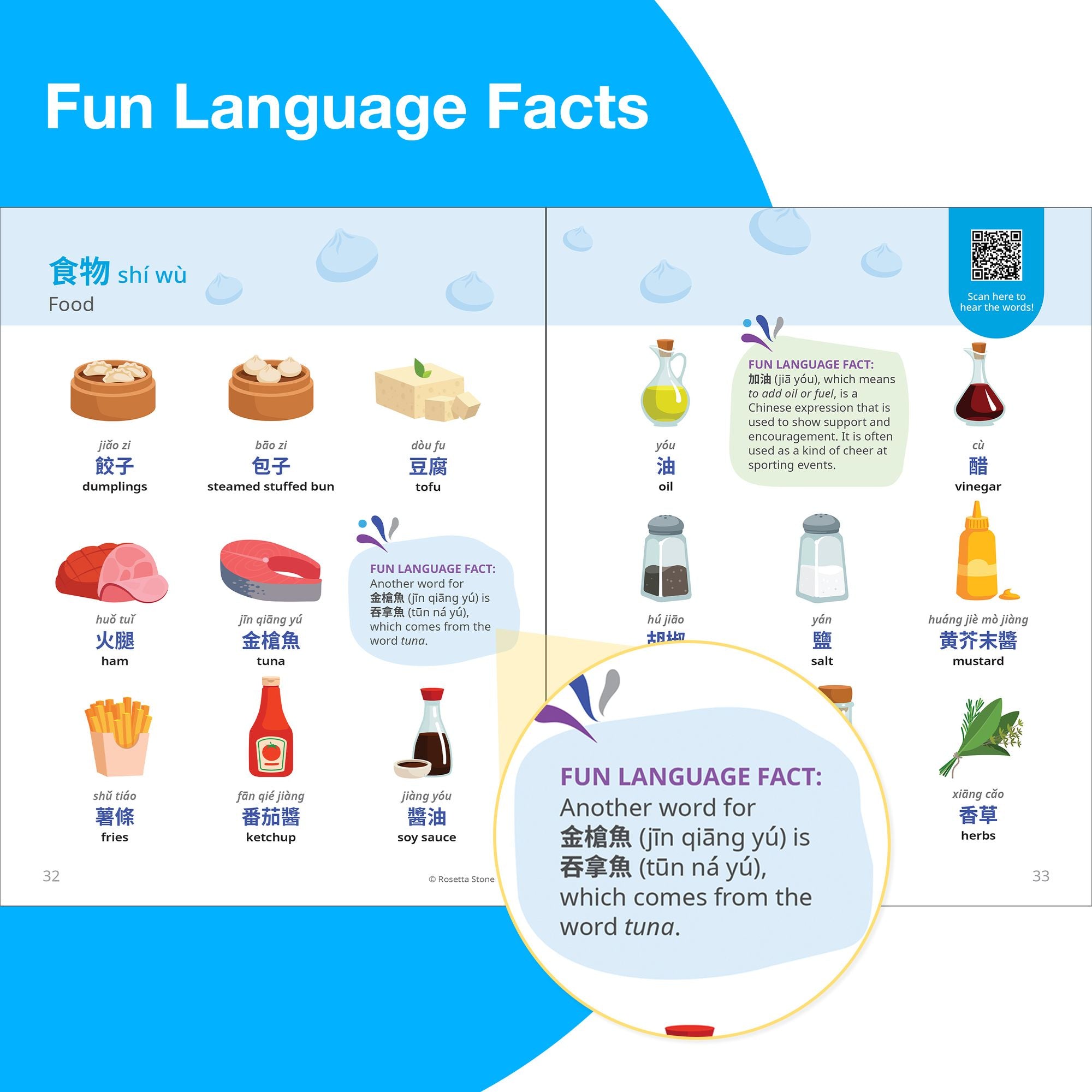 Rosetta Stone Mandarin Chinese Picture Dictionary (Traditional)