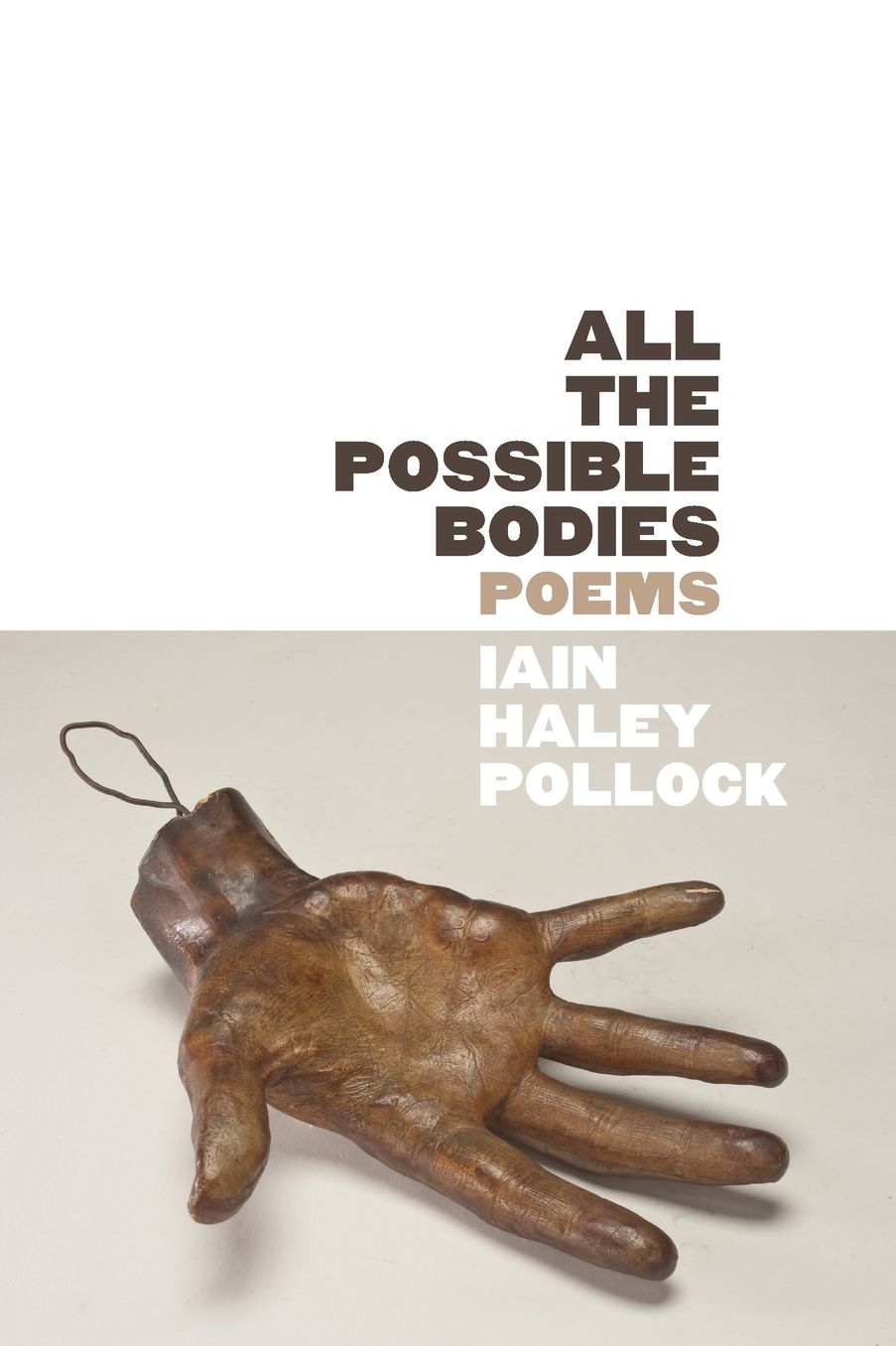 All the Possible Bodies