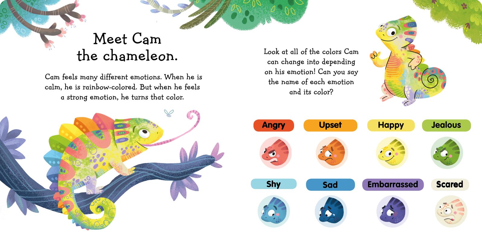 Rainbow of Emotions