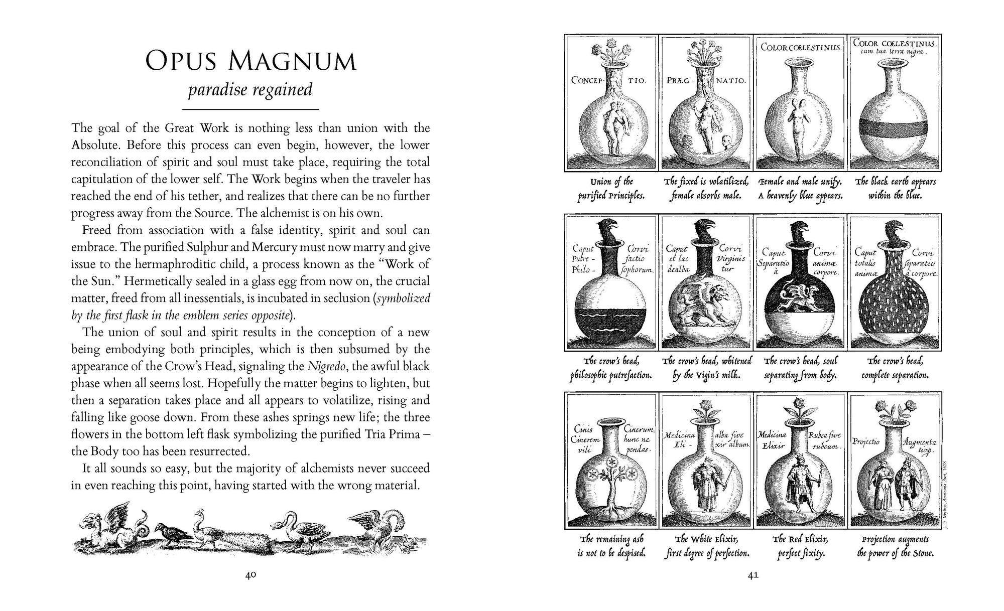 The Alchemist's Kitchen: Extraordinary Potions & Curious Notions