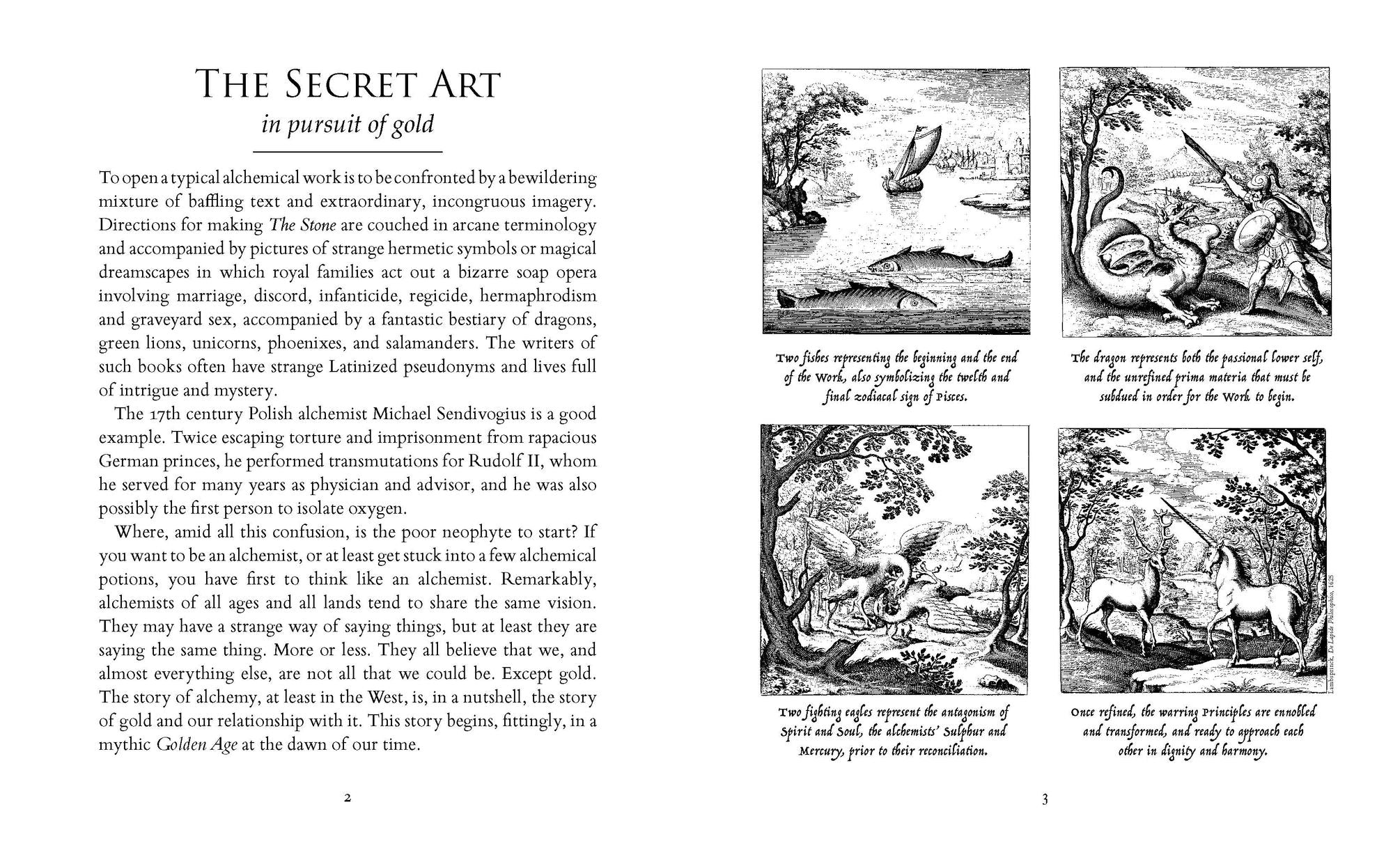 The Alchemist's Kitchen: Extraordinary Potions & Curious Notions