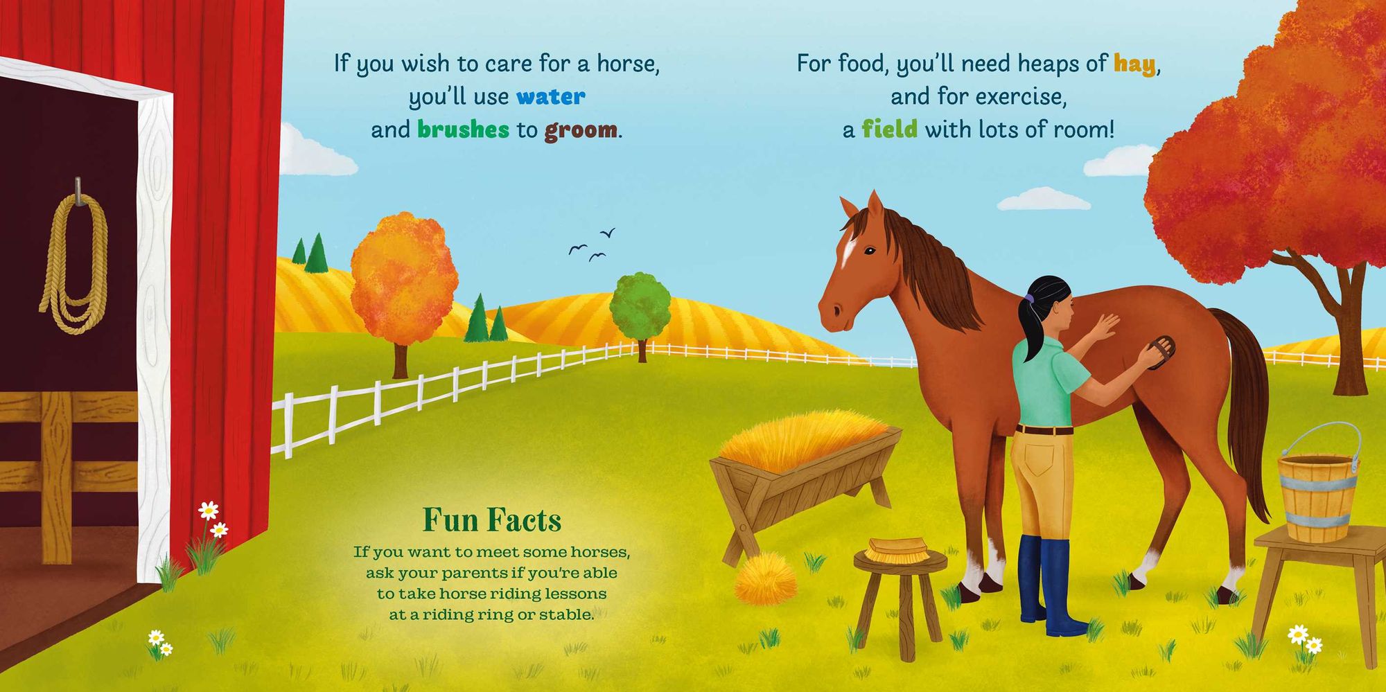 Little Genius Horses