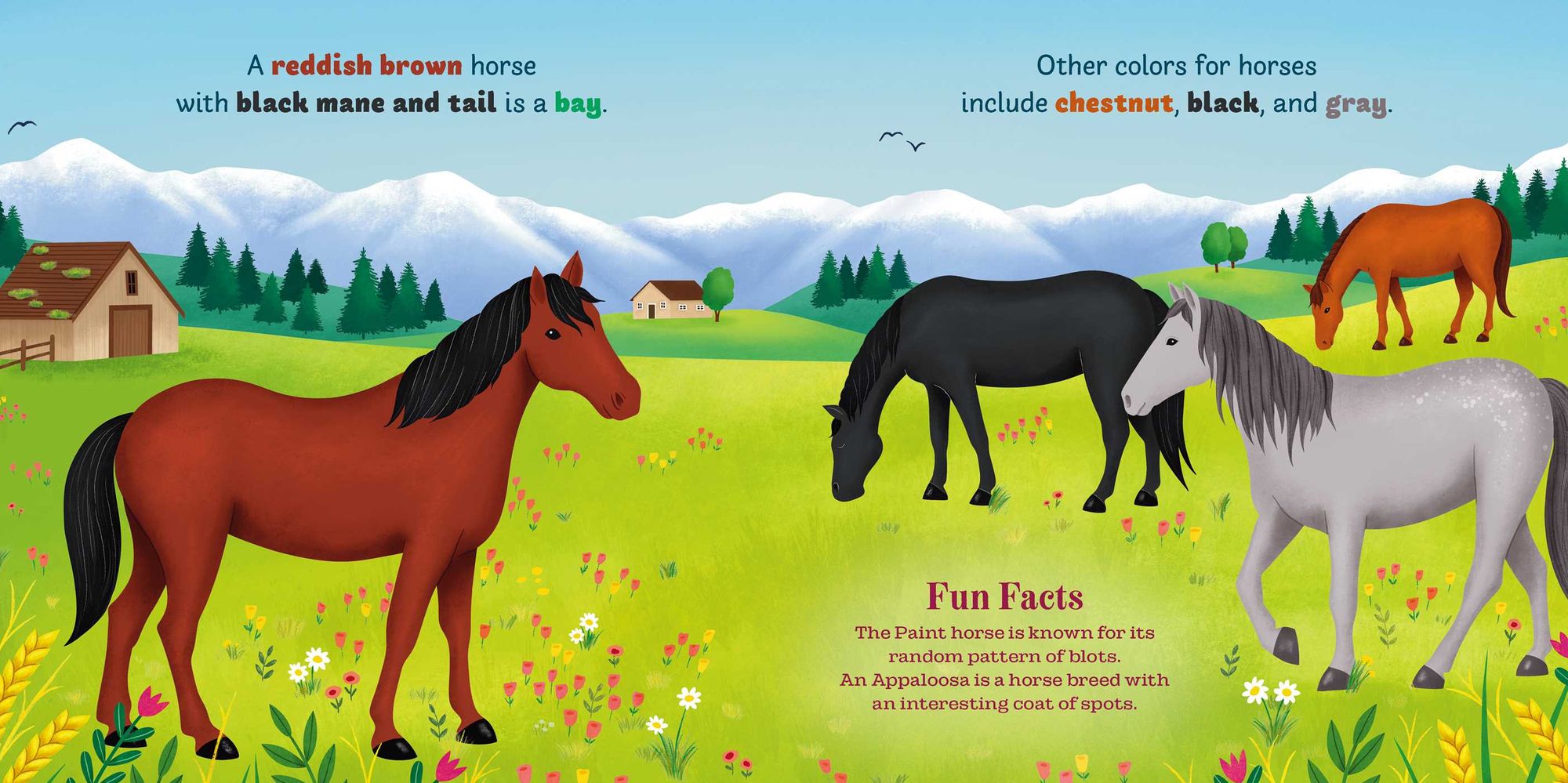 Little Genius Horses