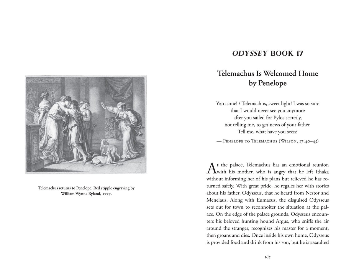 The Wisdom of the Odyssey: Twenty-Four Life Lessons from Homer's Epic