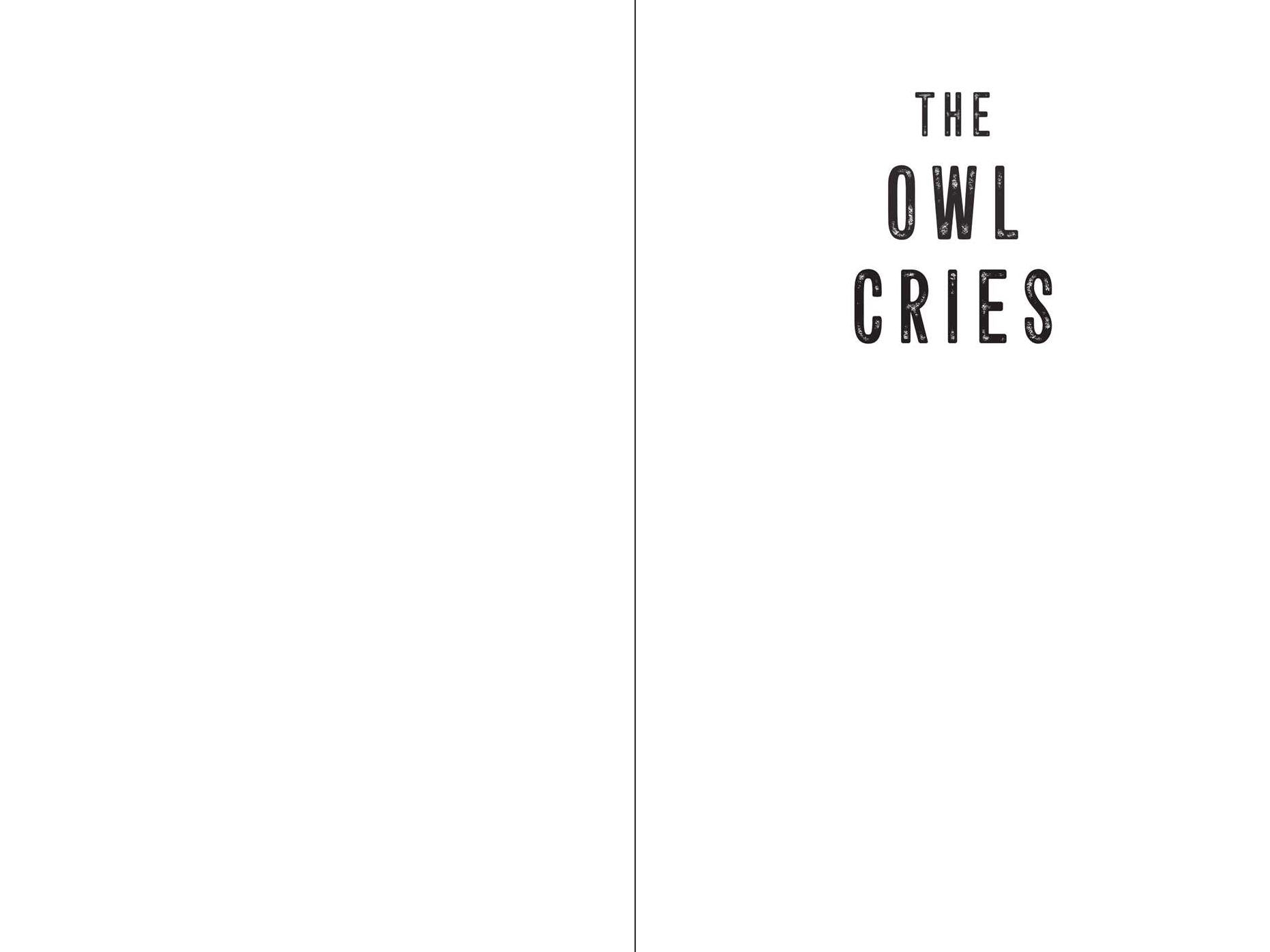 The Owl Cries: A Novel