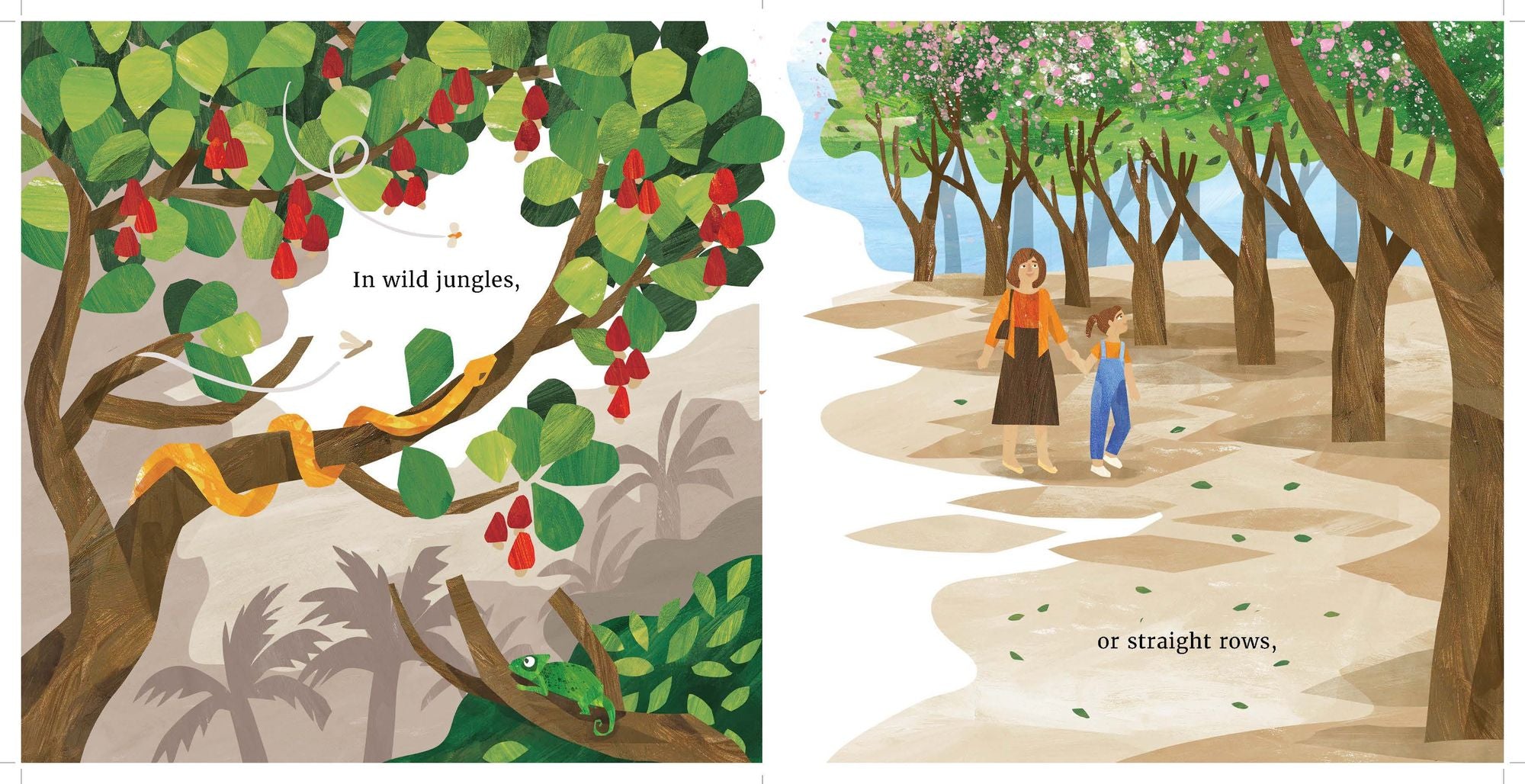 Ahhh, Milk!: The Many Ways Milk is Made