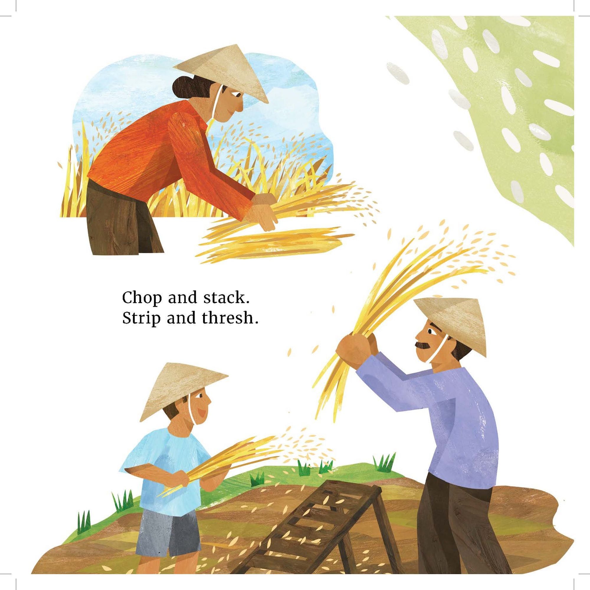 Ahhh, Milk!: The Many Ways Milk is Made