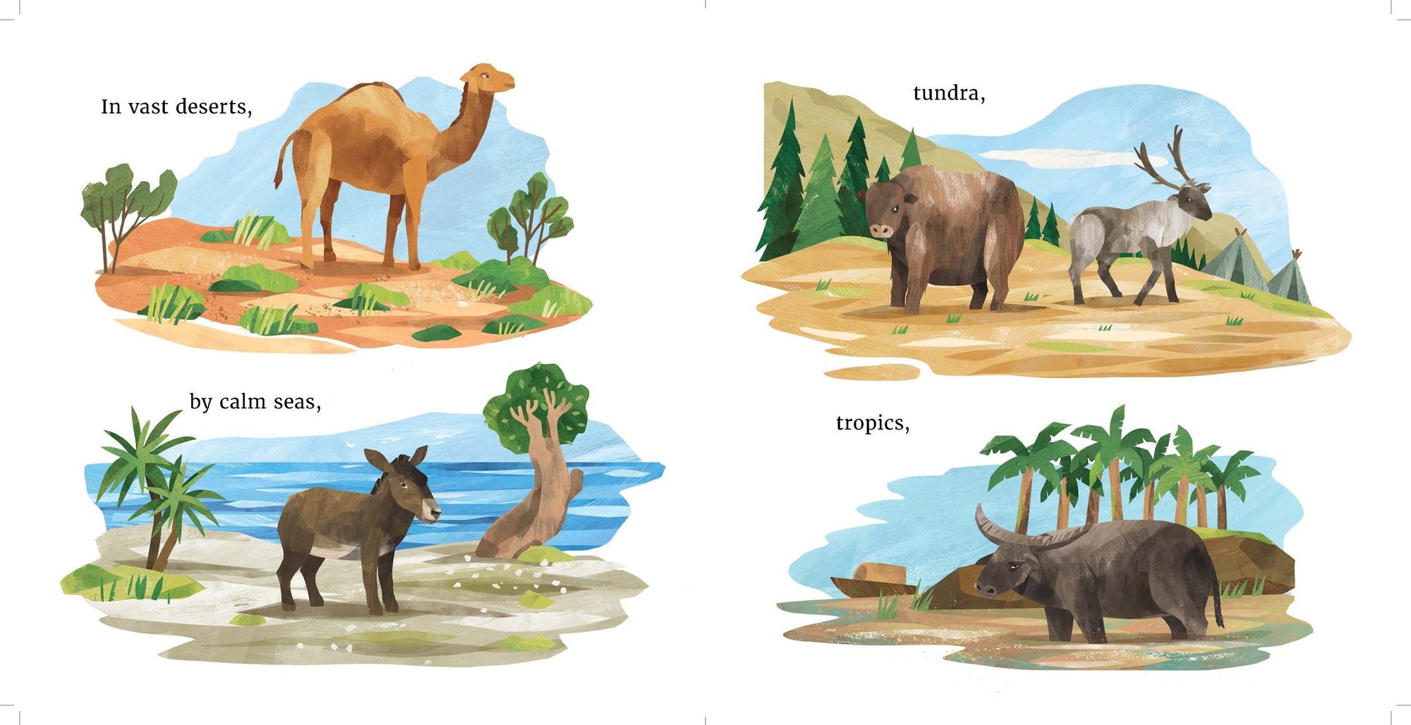 Ahhh, Milk!: The Many Ways Milk is Made