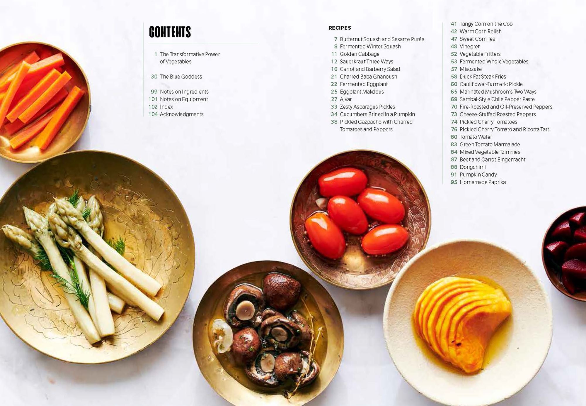 Preserved: Vegetables: 25 Recipes