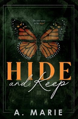 Hide and Keep Discreet Cover: An enemies to lovers bodyguard romance