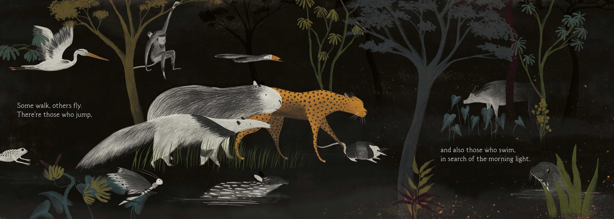 Waiting for the Dawn: A Tale of Forest Fires and Renewal