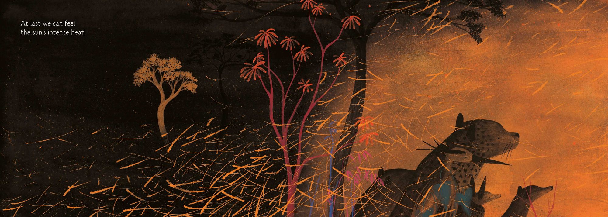 Waiting for the Dawn: A Tale of Forest Fires and Renewal