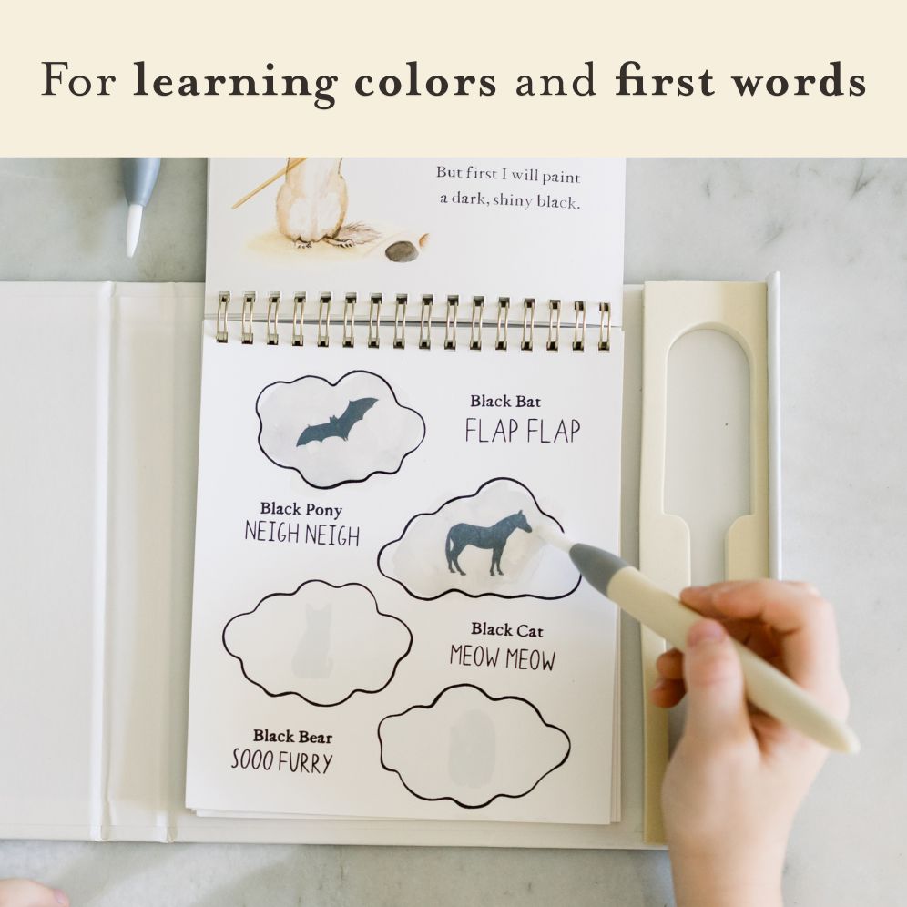 Wishy Washy (Water Reveal Edition): A Reusable Water Reveal Activity Book Teaching First Words and Colors