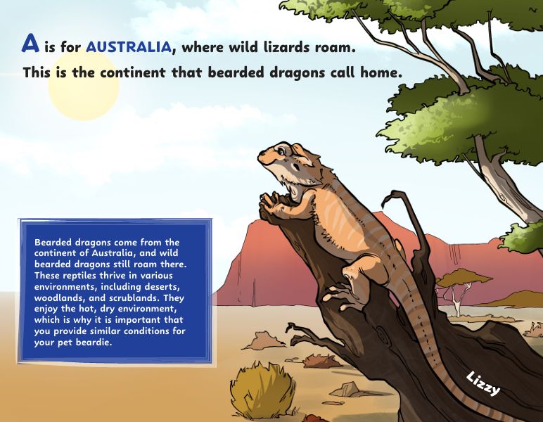 B Is for BEARDIE!: Bearded Dragons A to Z