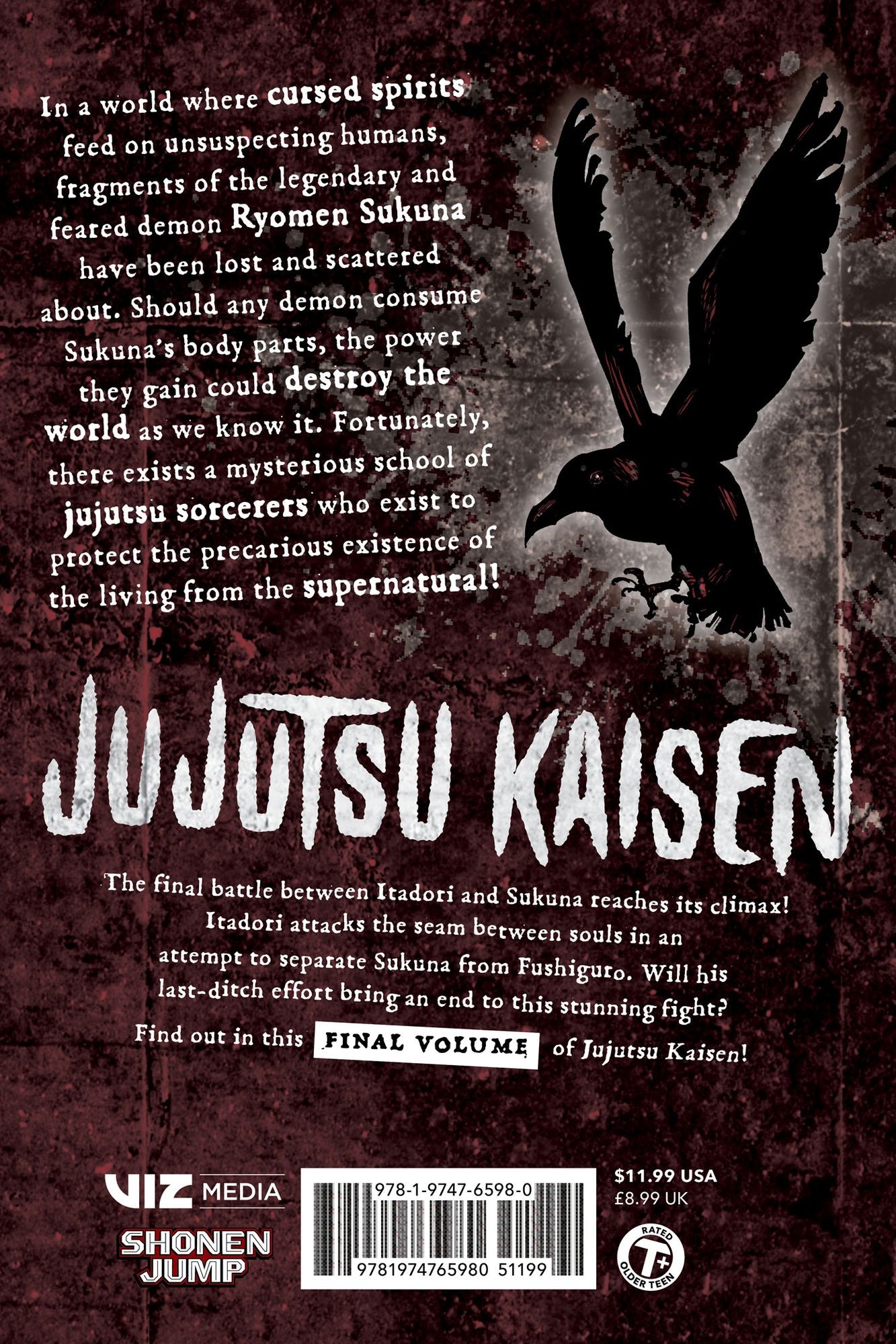 Jujutsu Kaisen, Vol. 30 (B&N Exclusive Edition)