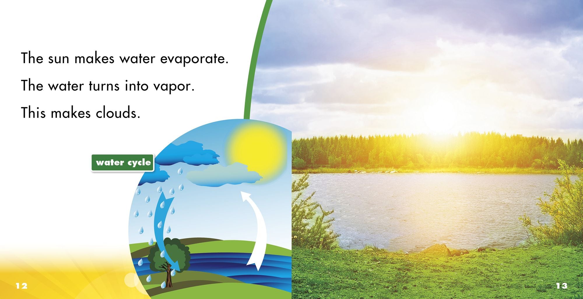 Sunny Weather: A 4D Book