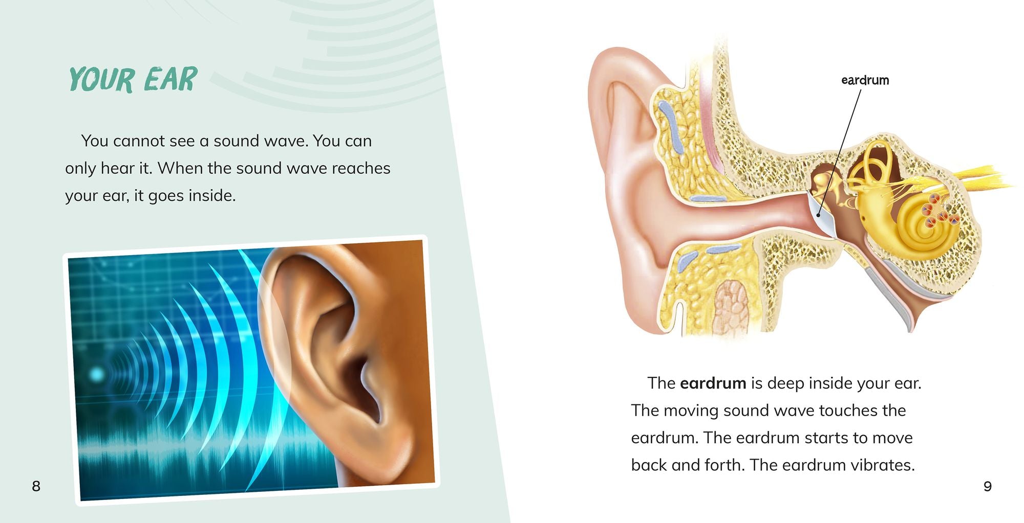Sound Waves