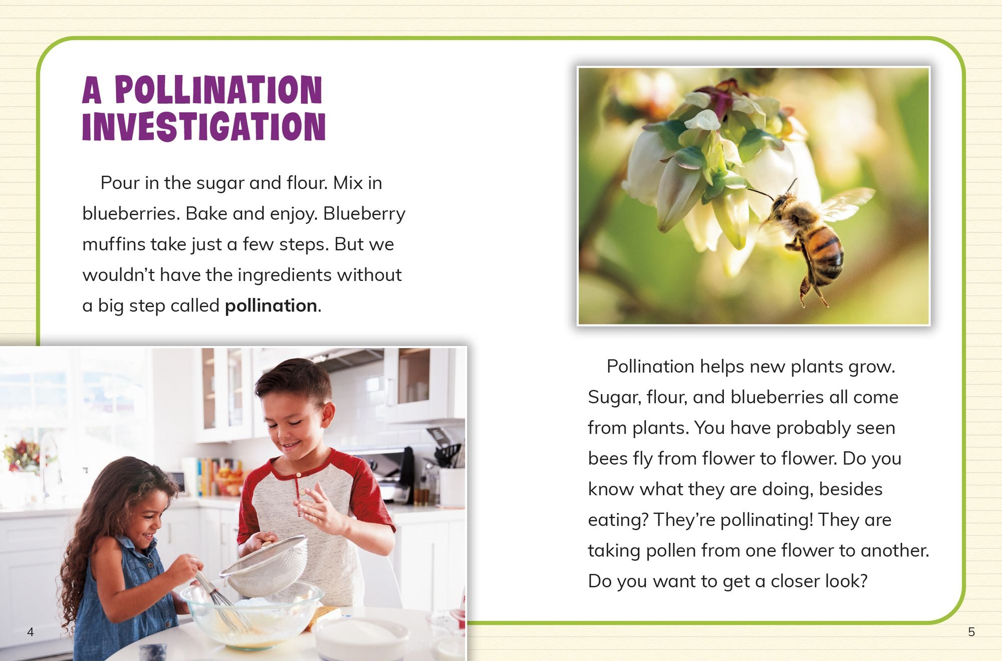 How Are Plants Pollinated?