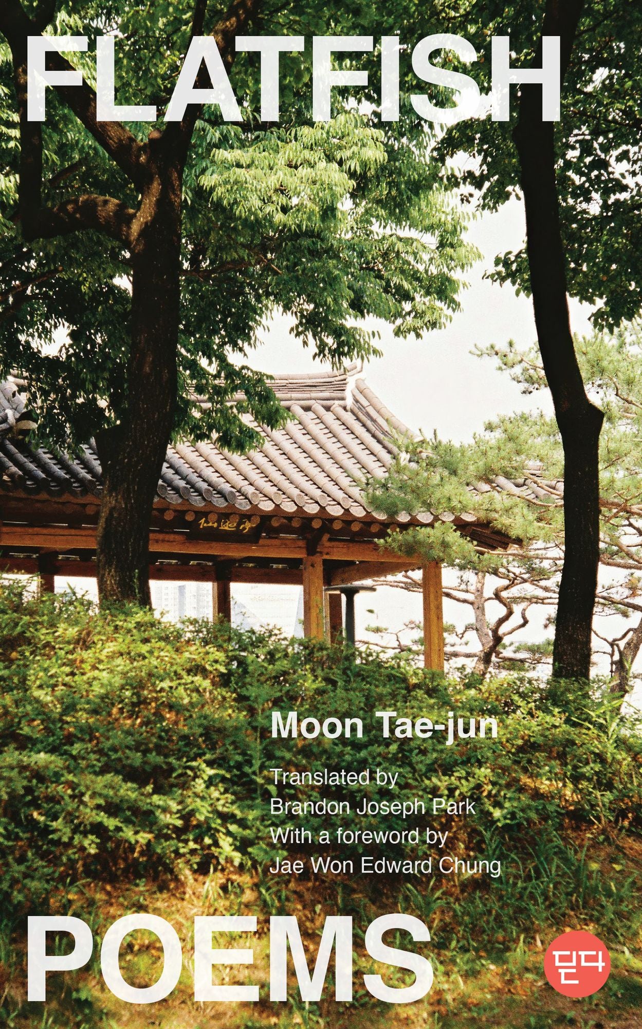 Flatfish: Poems, A Bilingual Edition