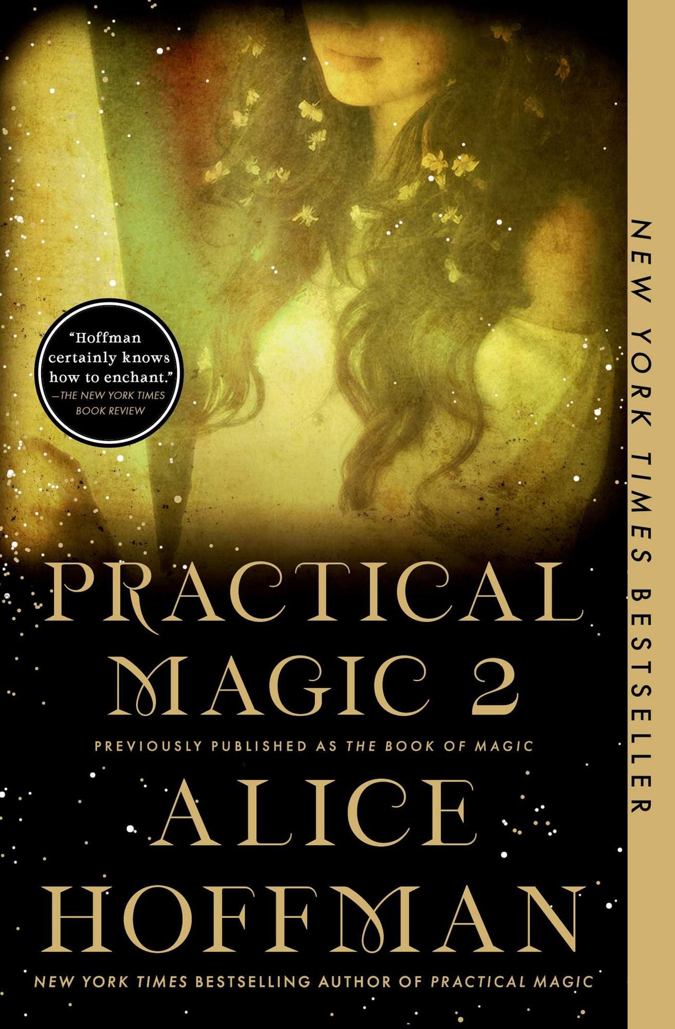 The Book of Magic (Practical Magic 2): A Novel
