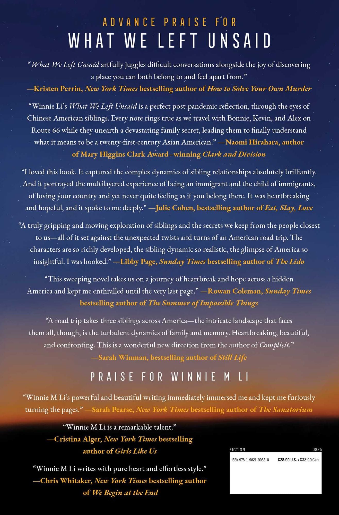 What We Left Unsaid: A Novel