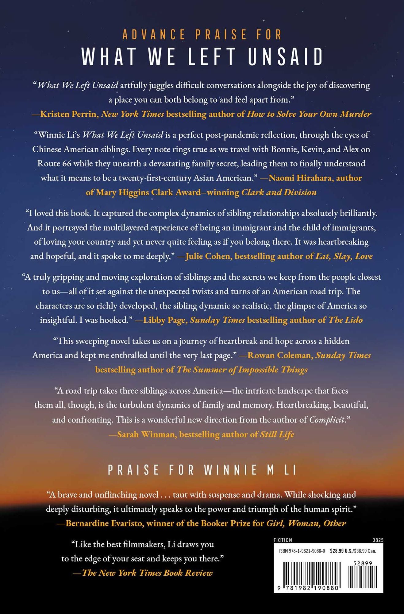 What We Left Unsaid: A Novel