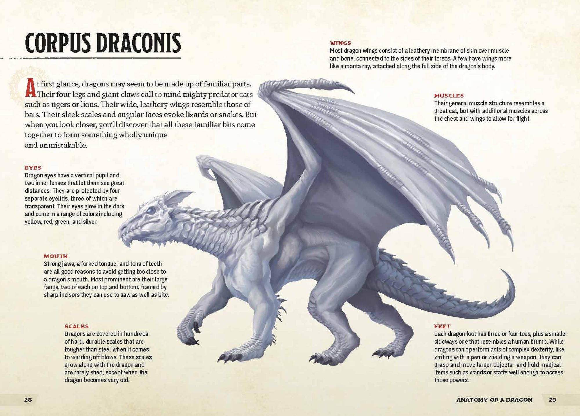 Dragons & Treasures (Dungeons & Dragons): A Young Adventurer's Guide