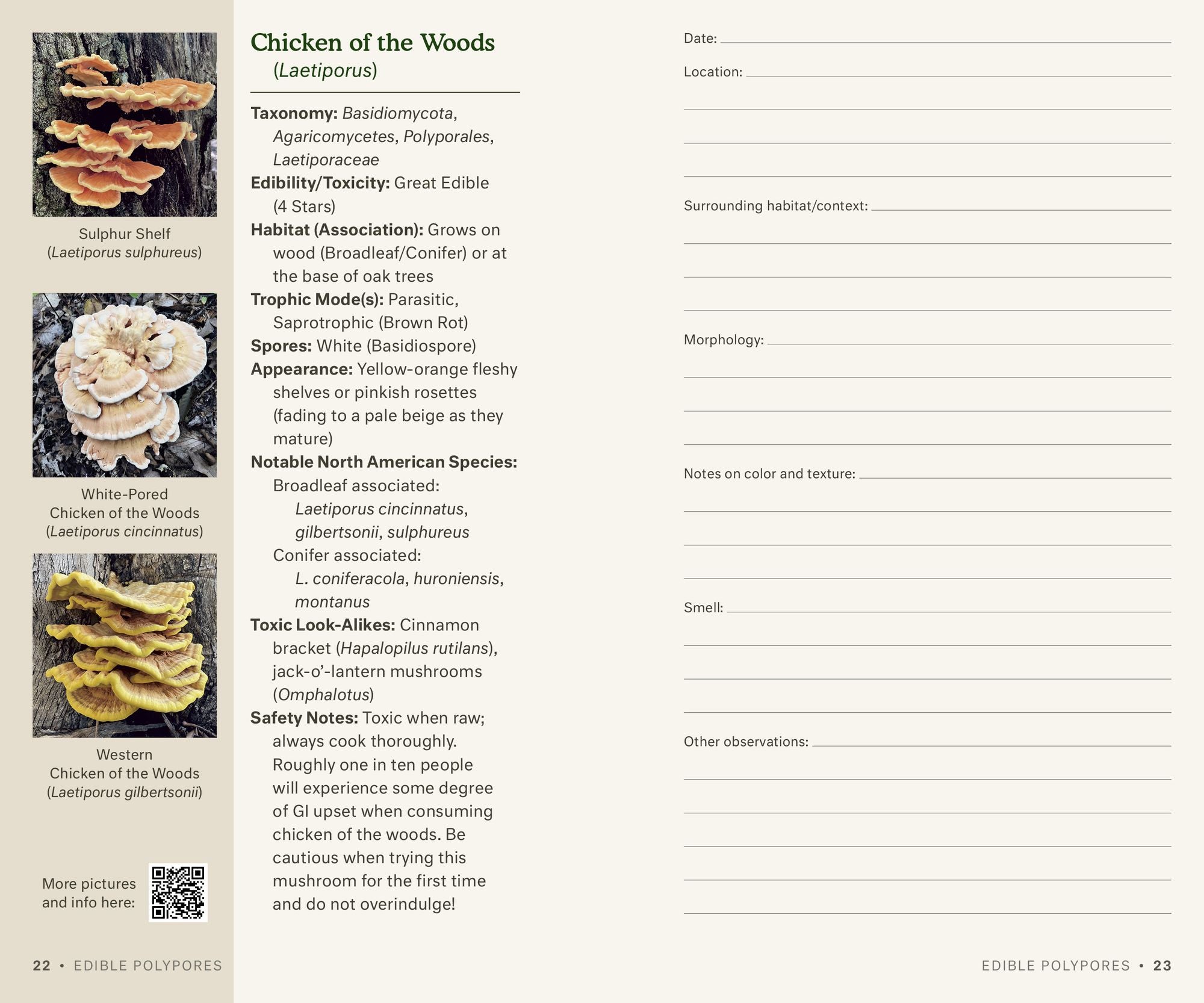 Dr. Fun Guy's Mushroom Journal and Foraging Guide