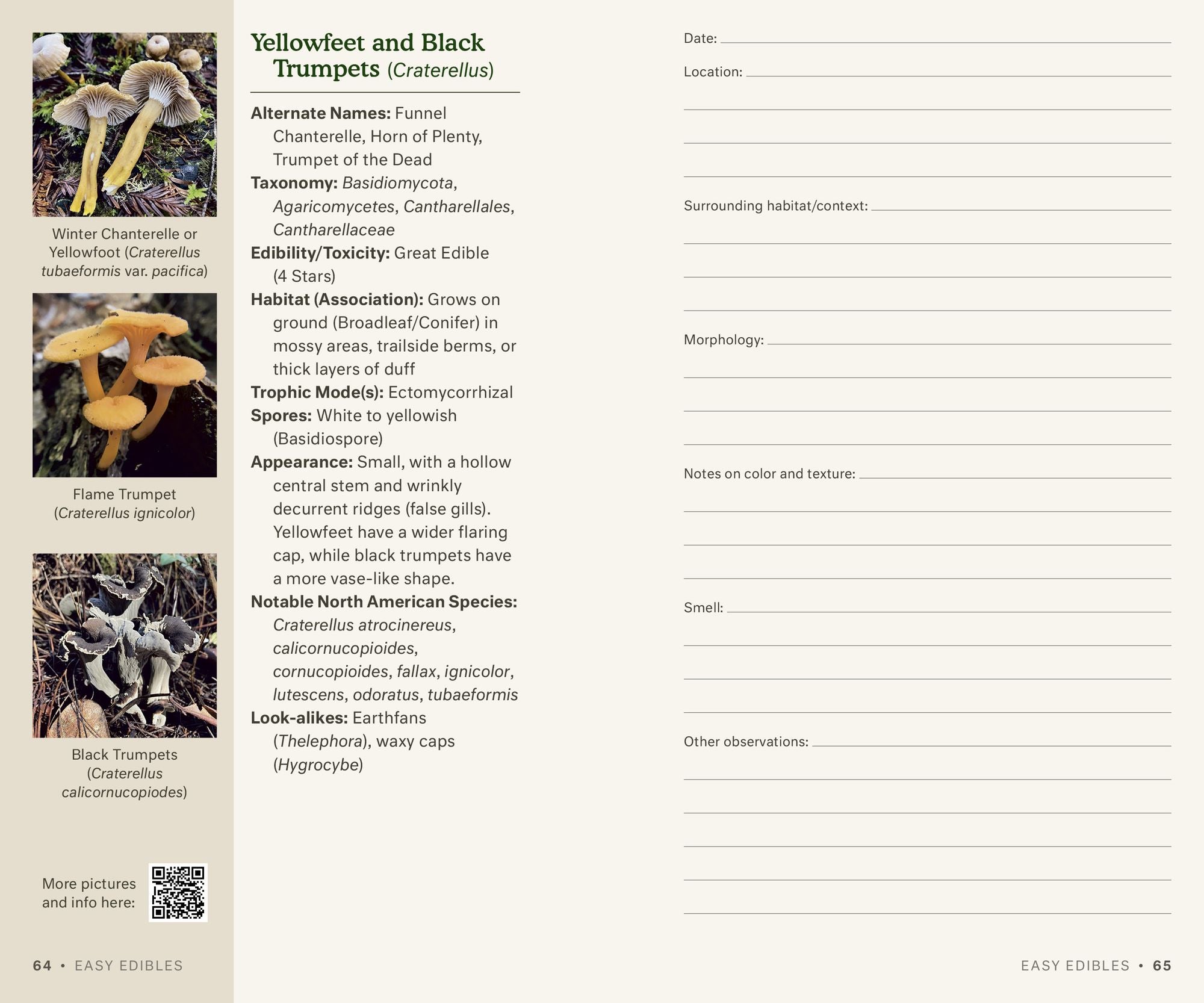 Dr. Fun Guy's Mushroom Journal and Foraging Guide