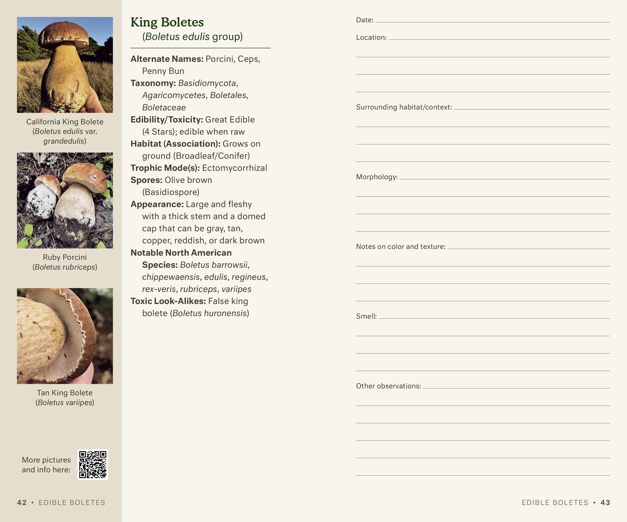 Dr. Fun Guy's Mushroom Journal and Foraging Guide