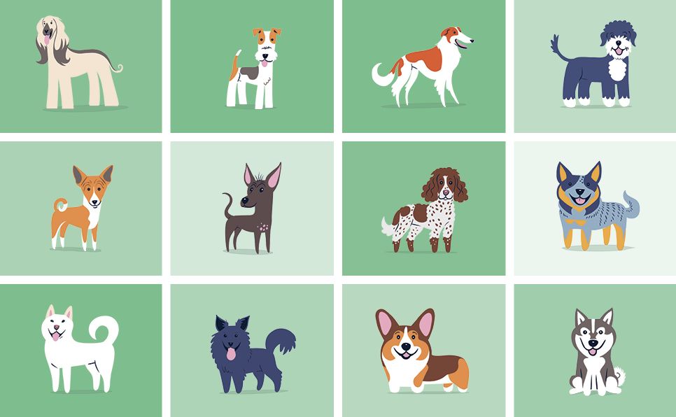 Dogs of the World: A Gallery of Pups from Purebreds to Mutts [A Dog Breed Book]
