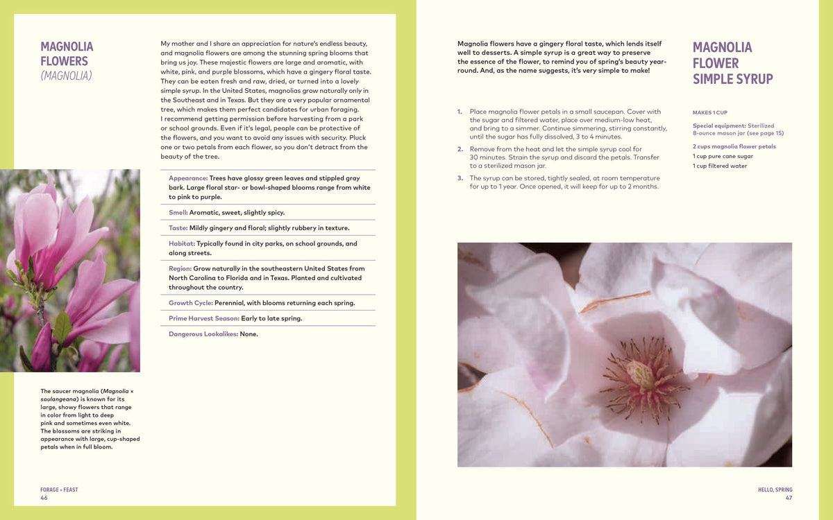 Forage & Feast: Recipes for Bringing Mushrooms & Wild Plants to Your Table: A Cookbook