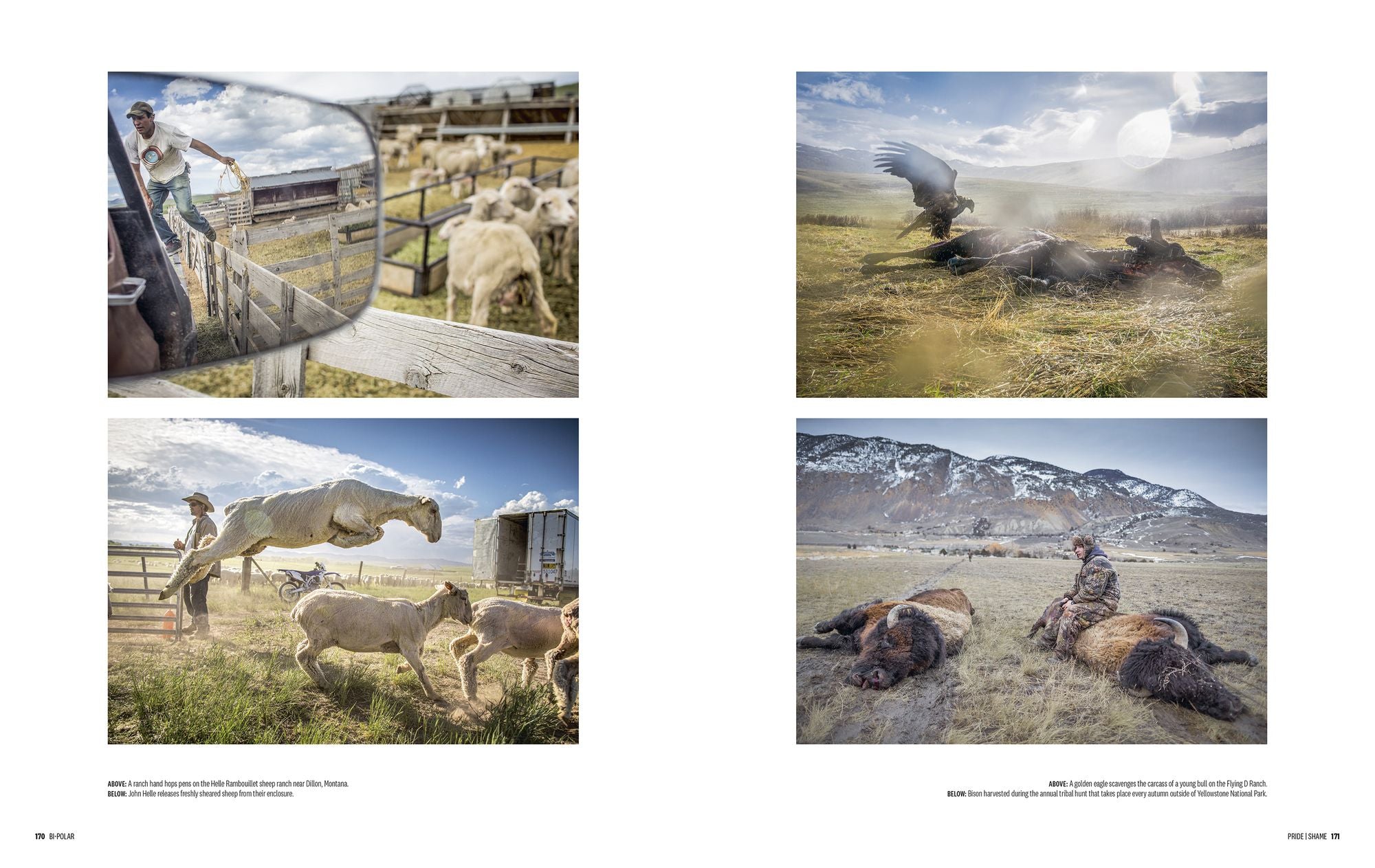 Bi-Polar: Photographs from an Unquiet Mind