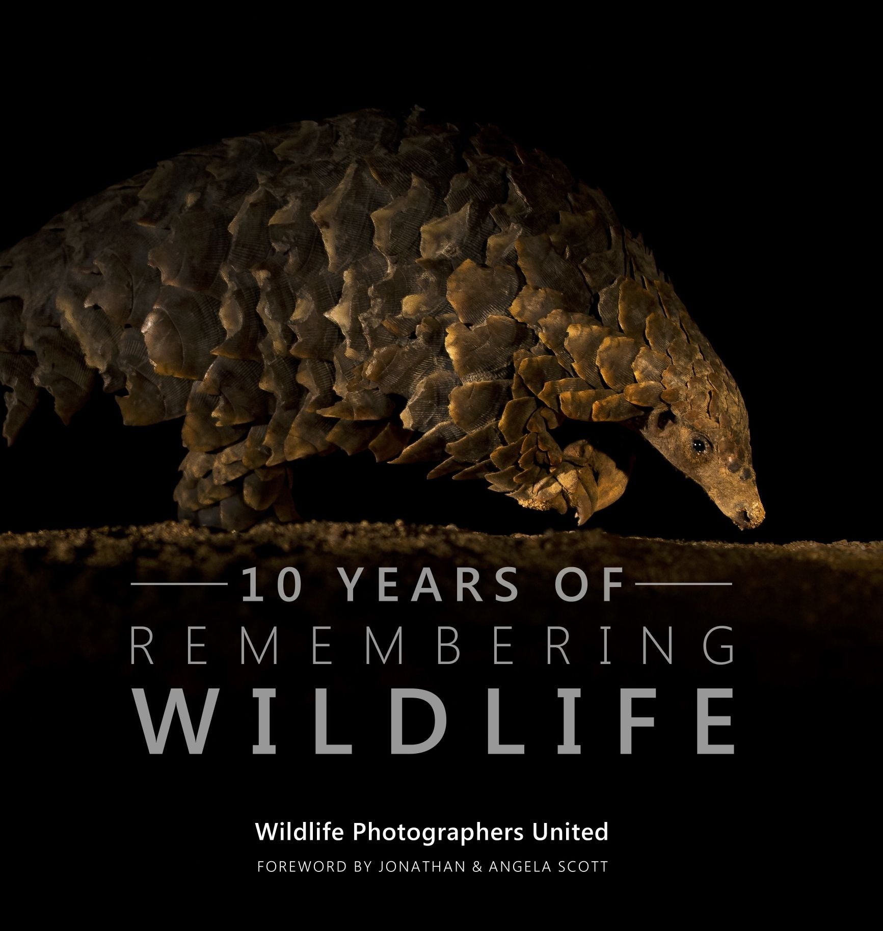 10 Years of Remembering Wildlife