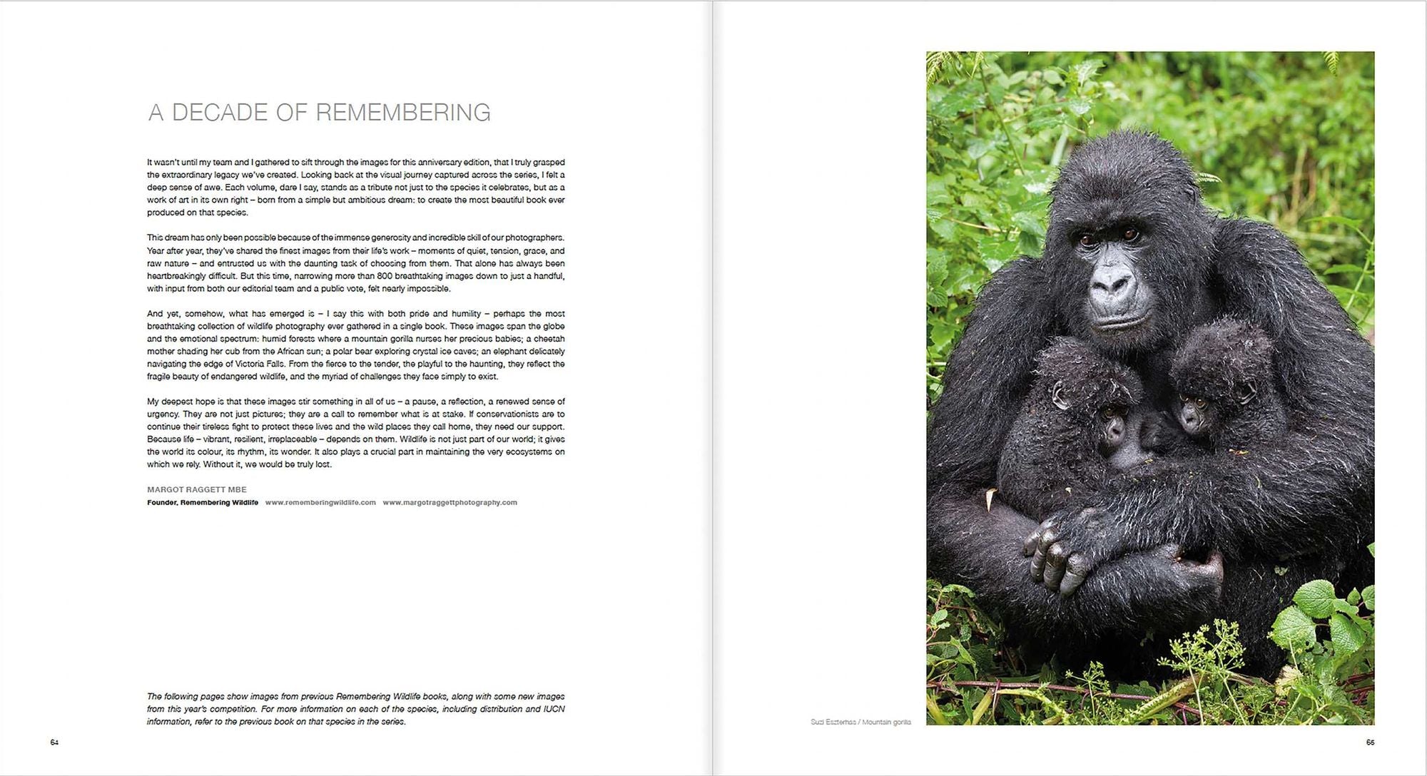 10 Years of Remembering Wildlife