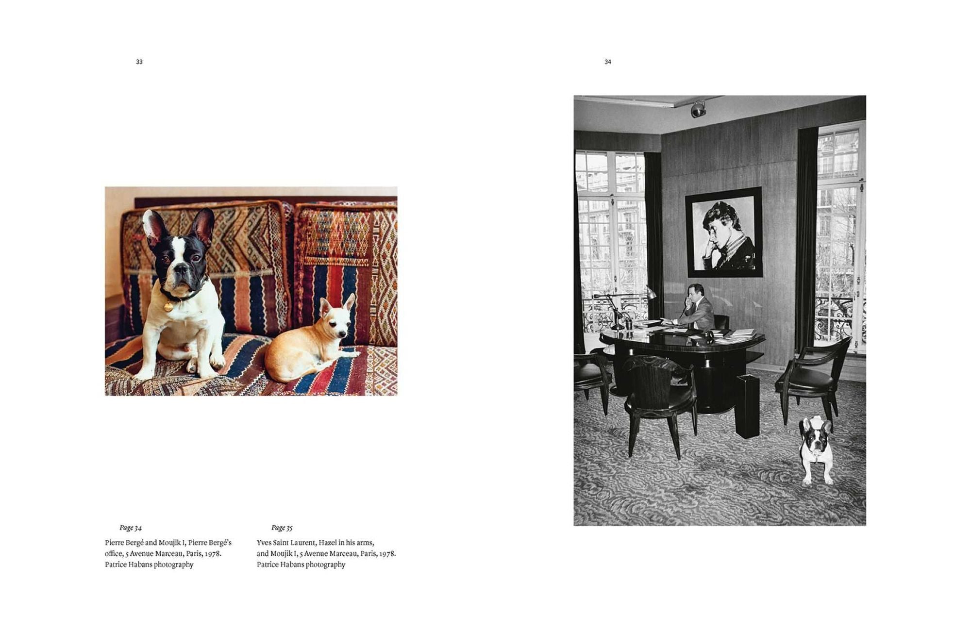 Yves Saint Laurent and his Dogs: Amigos Forever