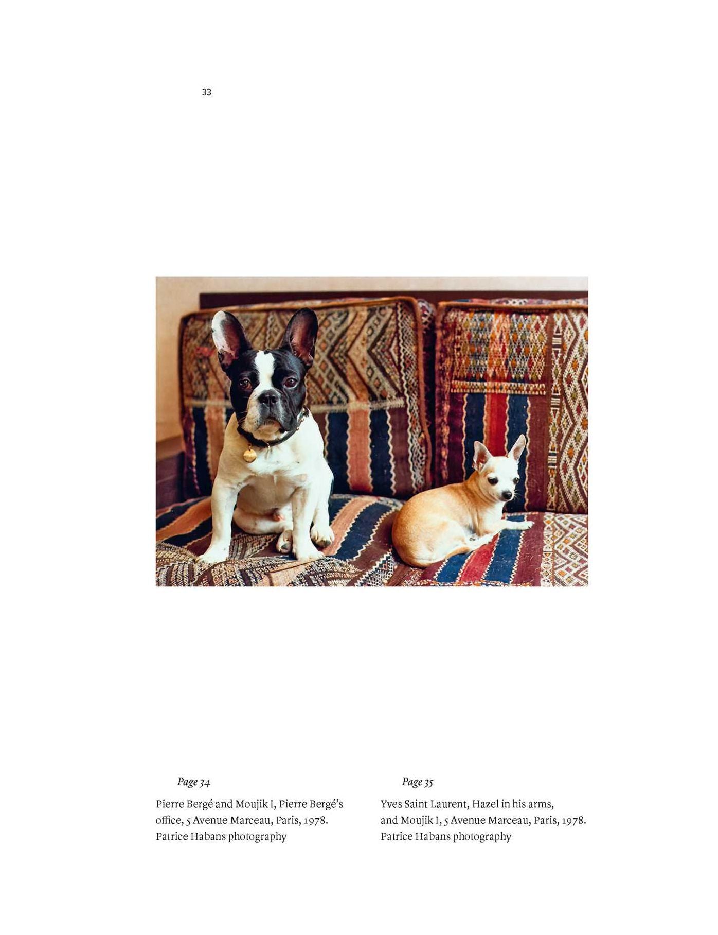 Yves Saint Laurent and his Dogs: Amigos Forever