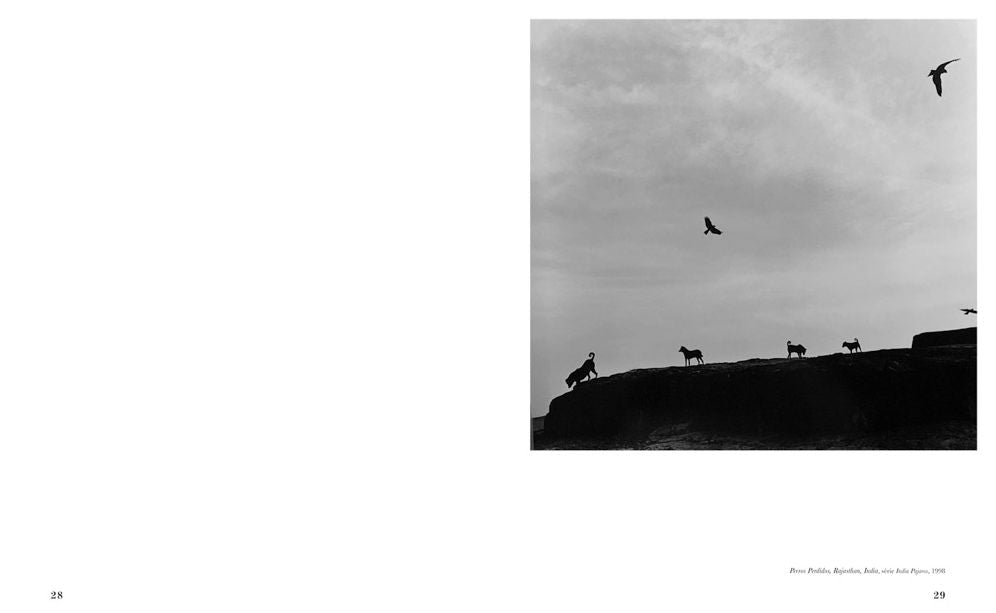 Graciela Iturbide: Heliotropo 37